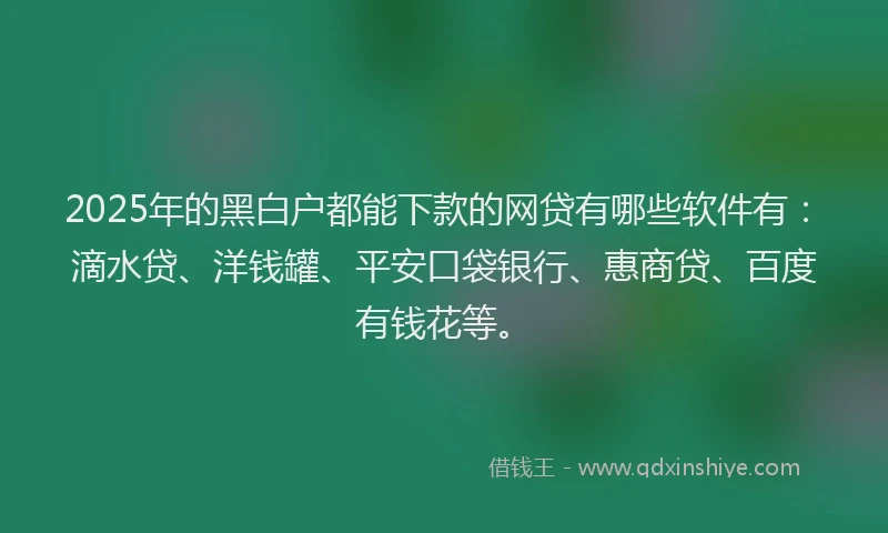 2025年的黑白户都能下款的网贷有哪些软件有：滴水贷、洋钱罐、平安口袋银行、惠商贷、百度有钱花等。