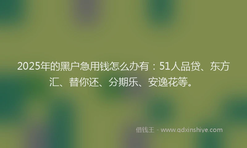 2025年的黑户急用钱怎么办有：51人品贷、东方汇、替你还、分期乐、安逸花等。
