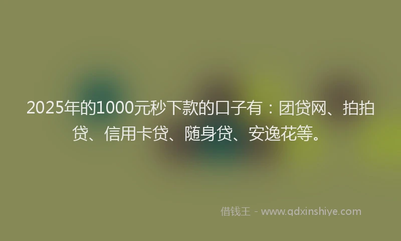 2025年的1000元秒下款的口子有：团贷网、拍拍贷、信用卡贷、随身贷、安逸花等。
