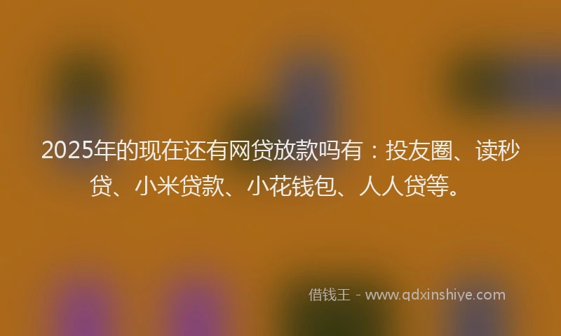 2025年的现在还有网贷放款吗有：投友圈、读秒贷、小米贷款、小花钱包、人人贷等。