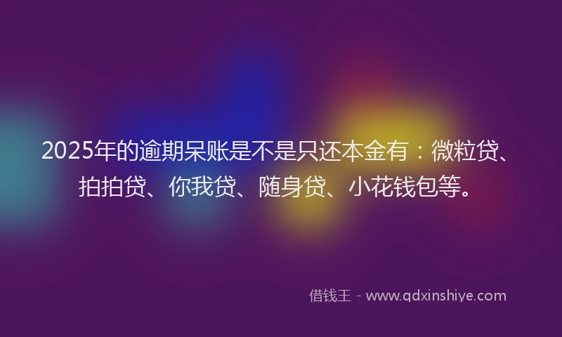 2025年的逾期呆账是不是只还本金有：微粒贷、拍拍贷、你我贷、随身贷、小花钱包等。