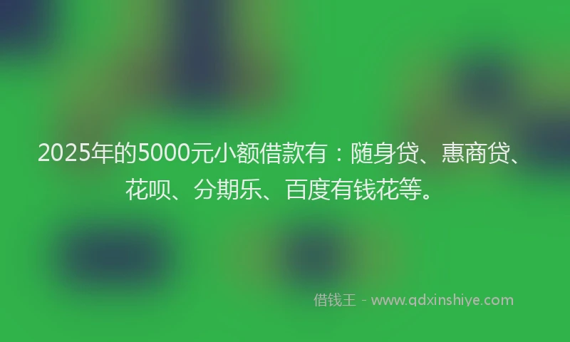 2025年的5000元小额借款有：随身贷、惠商贷、花呗、分期乐、百度有钱花等。
