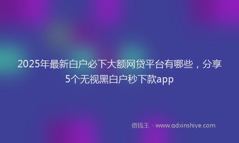 2025年最新白户必下大额网贷平台有哪些，分享5个无视黑白户秒下款app