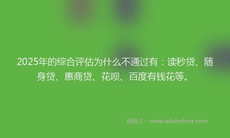 2025年的综合评估为什么不通过有：读秒贷、随身贷、惠商贷、花呗、百度有钱花等。