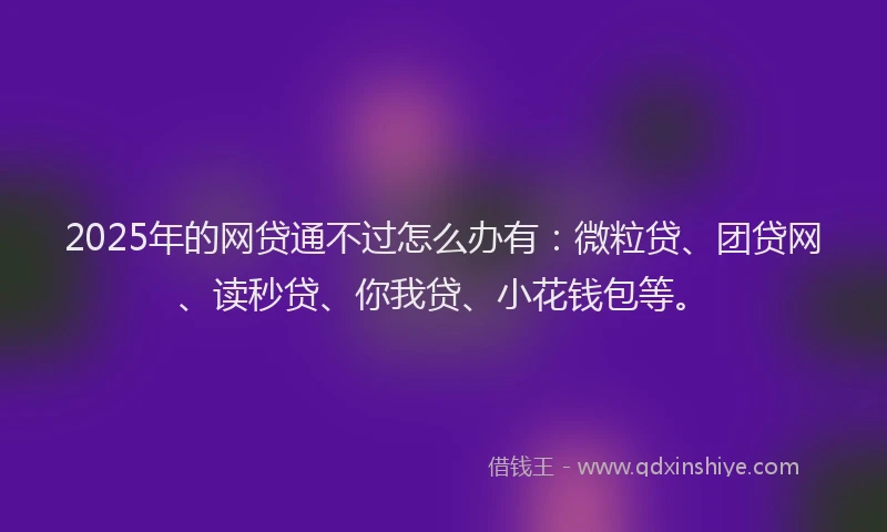 2025年的网贷通不过怎么办有：微粒贷、团贷网、读秒贷、你我贷、小花钱包等。