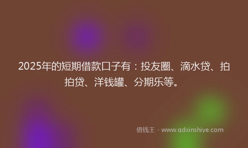 2025年的短期借款口子有：投友圈、滴水贷、拍拍贷、洋钱罐、分期乐等。