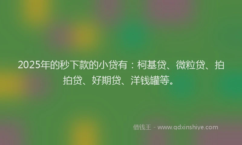 2025年的秒下款的小贷有：柯基贷、微粒贷、拍拍贷、好期贷、洋钱罐等。