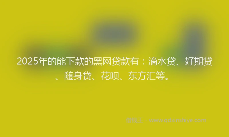 2025年的能下款的黑网贷款有：滴水贷、好期贷、随身贷、花呗、东方汇等。