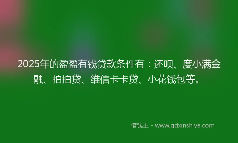 2025年的盈盈有钱贷款条件有：还呗、度小满金融、拍拍贷、维信卡卡贷、小花钱包等。