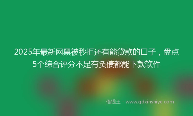 2025年最新网黑被秒拒还有能贷款的口子，盘点5个综合评分不足有负债都能下款软件