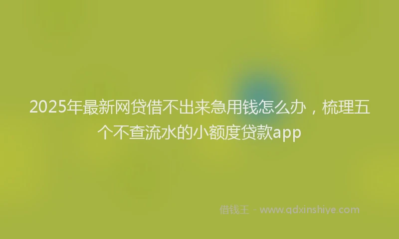 2025年最新网贷借不出来急用钱怎么办，梳理五个不查流水的小额度贷款app