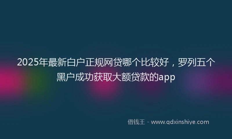 2025年最新白户正规网贷哪个比较好，罗列五个黑户成功获取大额贷款的app