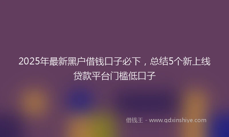 2025年最新黑户借钱口子必下，总结5个新上线贷款平台门槛低口子