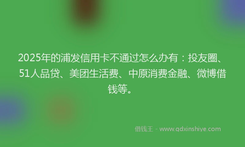 2025年的浦发信用卡不通过怎么办有：投友圈、51人品贷、美团生活费、中原消费金融、微博借钱等。
