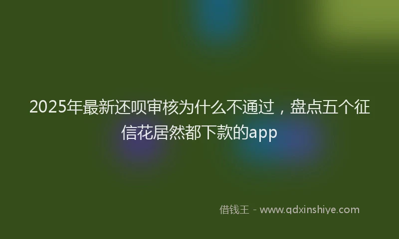 2025年最新还呗审核为什么不通过，盘点五个征信花居然都下款的app