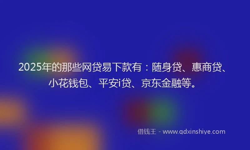 2025年的那些网贷易下款有：随身贷、惠商贷、小花钱包、平安i贷、京东金融等。