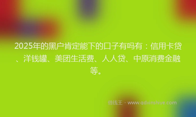 2025年的黑户肯定能下的口子有吗有：信用卡贷、洋钱罐、美团生活费、人人贷、中原消费金融等。