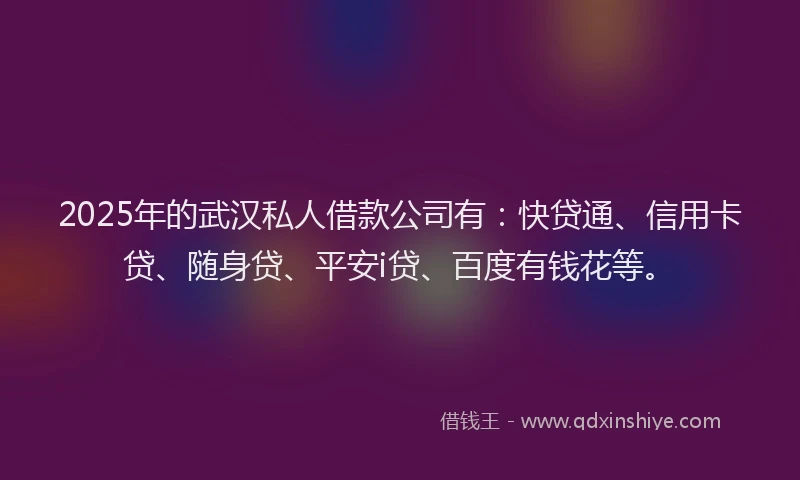 2025年的武汉私人借款公司有：快贷通、信用卡贷、随身贷、平安i贷、百度有钱花等。