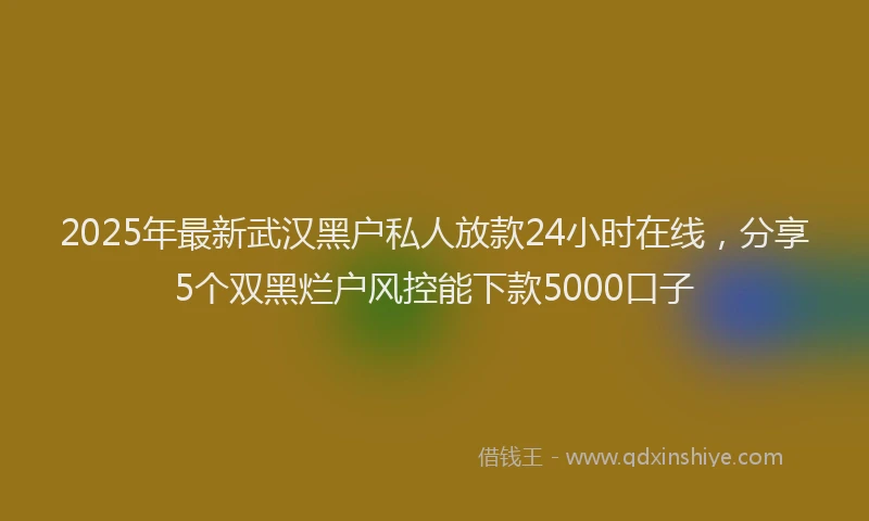2025年最新武汉黑户私人放款24小时在线，分享5个双黑烂户风控能下款5000口子
