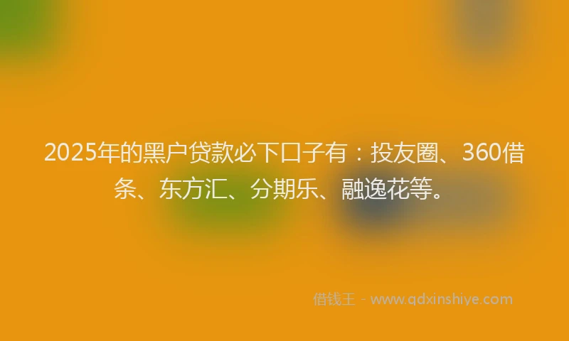 2025年的黑户贷款必下口子有：投友圈、360借条、东方汇、分期乐、融逸花等。