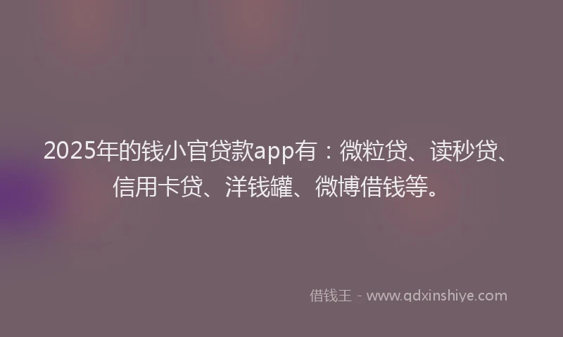 2025年的钱小官贷款app有：微粒贷、读秒贷、信用卡贷、洋钱罐、微博借钱等。