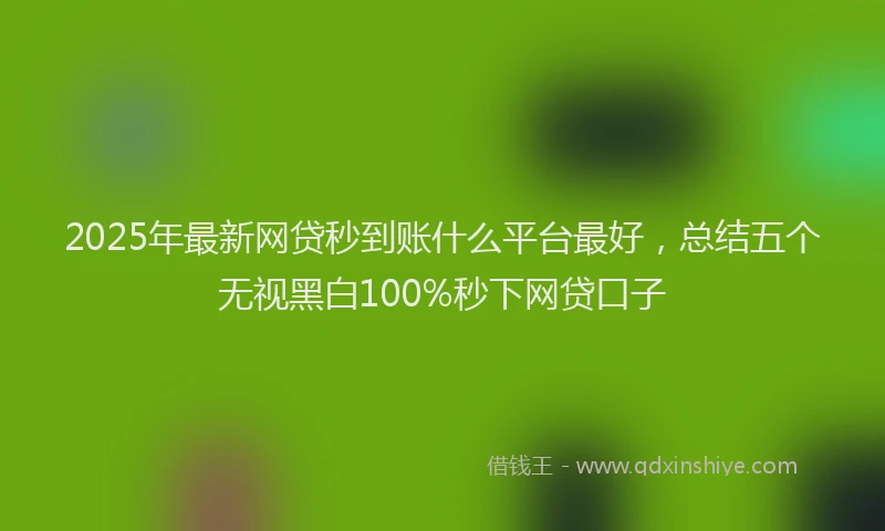2025年最新网贷秒到账什么平台最好，总结五个无视黑白100%秒下网贷口子