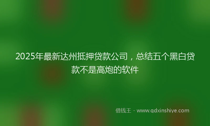 2025年最新达州抵押贷款公司，总结五个黑白贷款不是高炮的软件