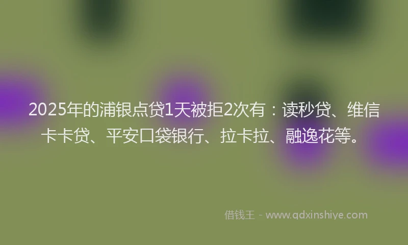 2025年的浦银点贷1天被拒2次有：读秒贷、维信卡卡贷、平安口袋银行、拉卡拉、融逸花等。
