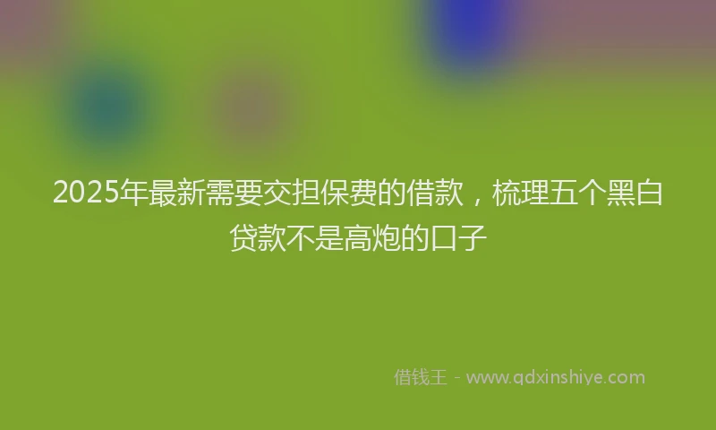 2025年最新需要交担保费的借款，梳理五个黑白贷款不是高炮的口子