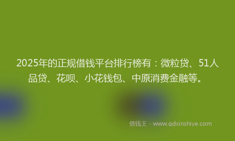 2025年的正规借钱平台排行榜有：微粒贷、51人品贷、花呗、小花钱包、中原消费金融等。