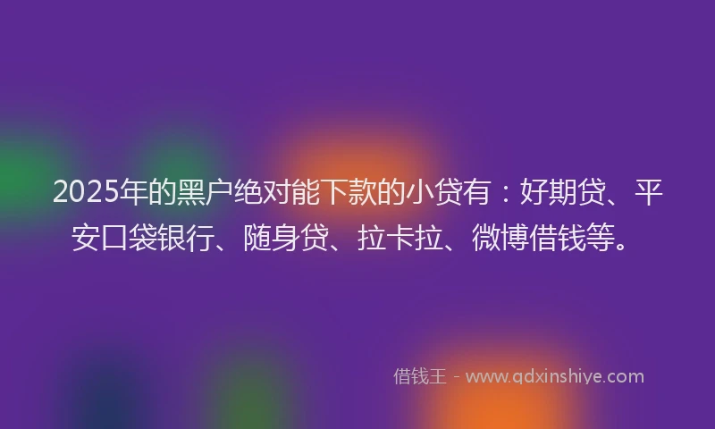 2025年的黑户绝对能下款的小贷有：好期贷、平安口袋银行、随身贷、拉卡拉、微博借钱等。