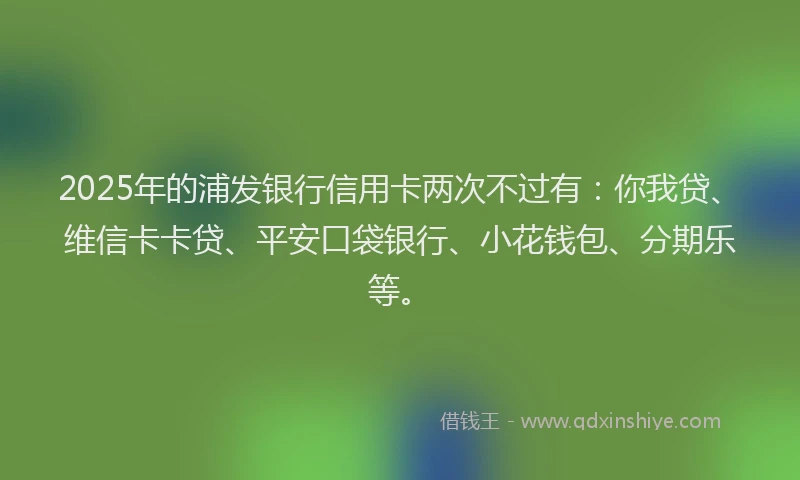 2025年的浦发银行信用卡两次不过有：你我贷、维信卡卡贷、平安口袋银行、小花钱包、分期乐等。