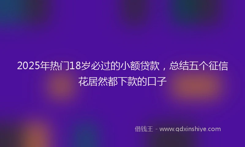 2025年热门18岁必过的小额贷款，总结五个征信花居然都下款的口子