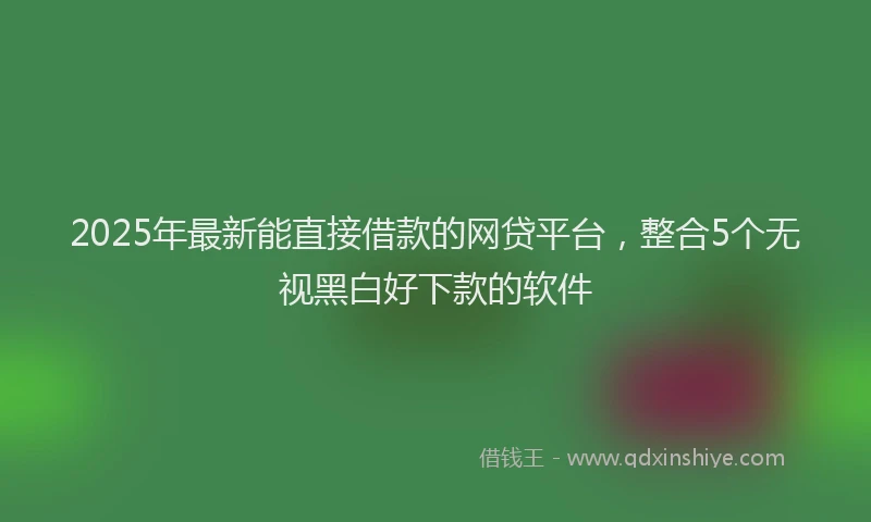 2025年最新能直接借款的网贷平台，整合5个无视黑白好下款的软件