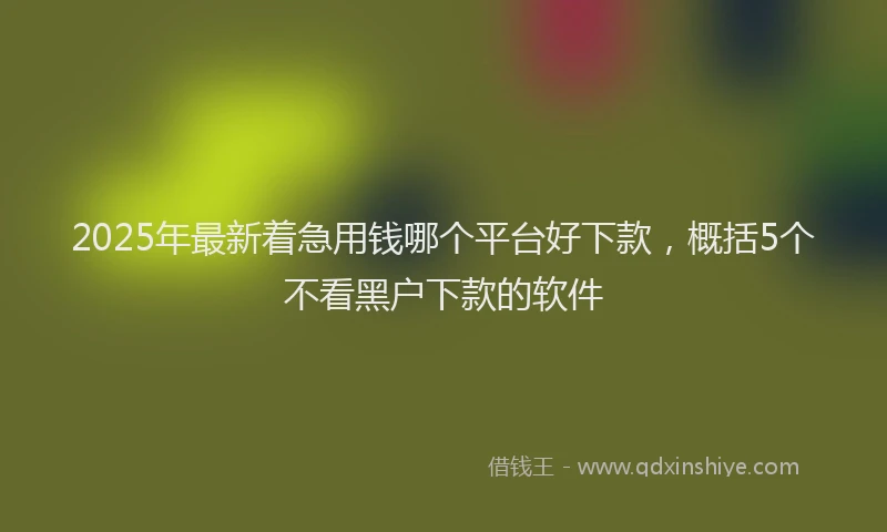 2025年最新着急用钱哪个平台好下款，概括5个不看黑户下款的软件