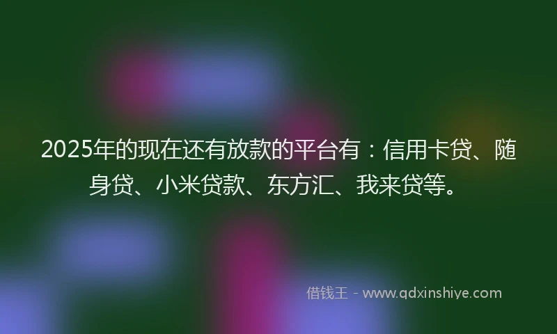 2025年的现在还有放款的平台有：信用卡贷、随身贷、小米贷款、东方汇、我来贷等。