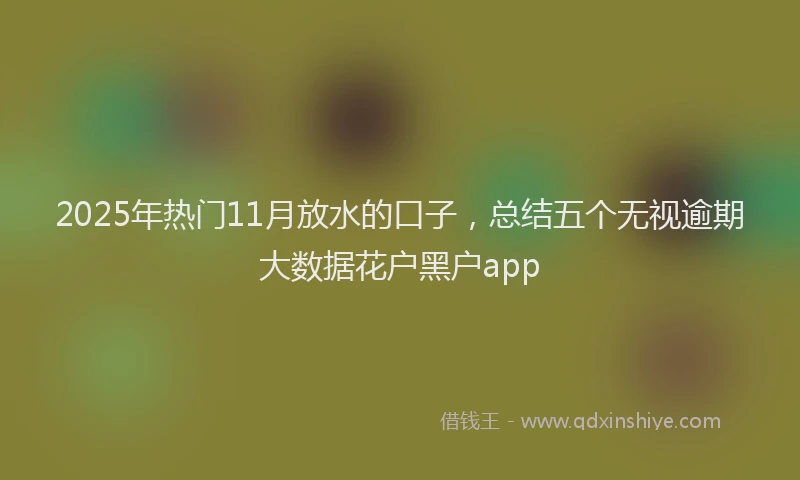 2025年热门11月放水的口子，总结五个无视逾期大数据花户黑户app