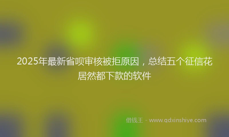 2025年最新省呗审核被拒原因，总结五个征信花居然都下款的软件