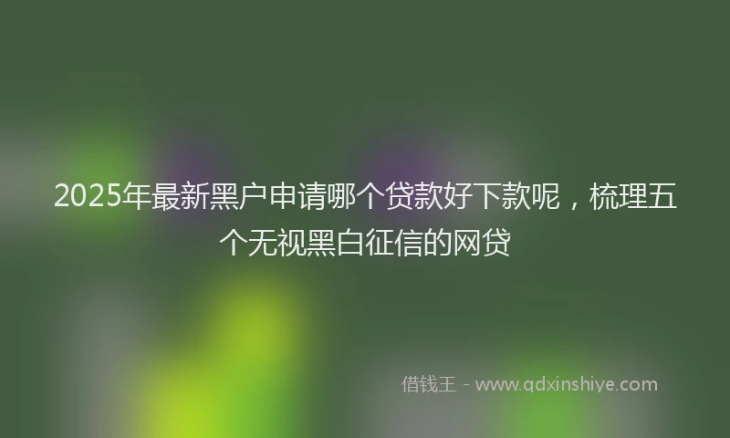 2025年最新黑户申请哪个贷款好下款呢，梳理五个无视黑白征信的网贷