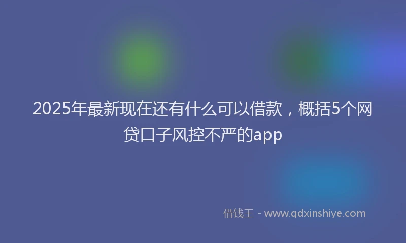 2025年最新现在还有什么可以借款，概括5个网贷口子风控不严的app