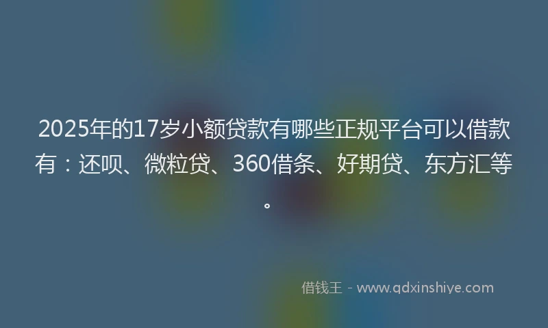 2025年的17岁小额贷款有哪些正规平台可以借款有：还呗、微粒贷、360借条、好期贷、东方汇等。