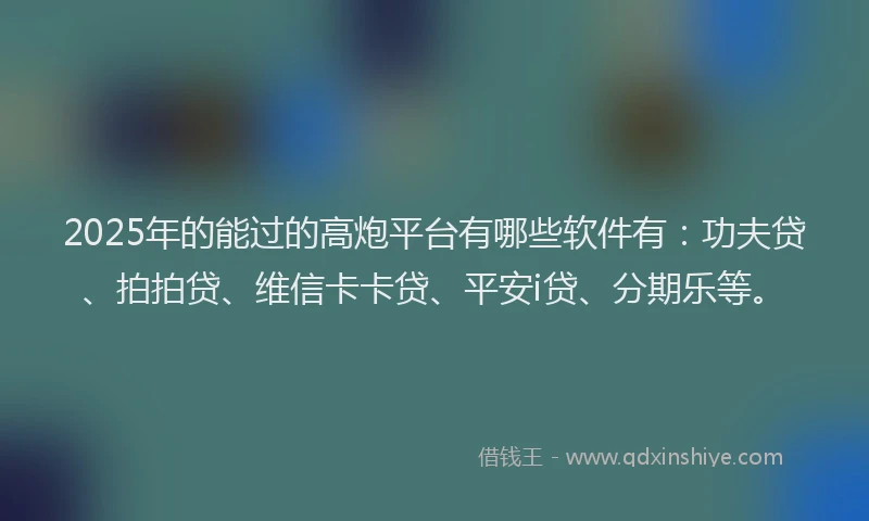 2025年的能过的高炮平台有哪些软件有：功夫贷、拍拍贷、维信卡卡贷、平安i贷、分期乐等。