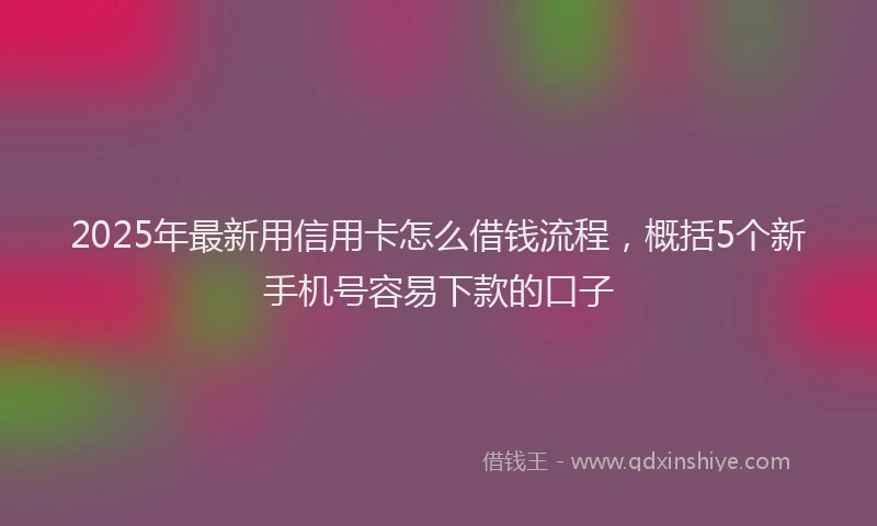 2025年最新用信用卡怎么借钱流程，概括5个新手机号容易下款的口子
