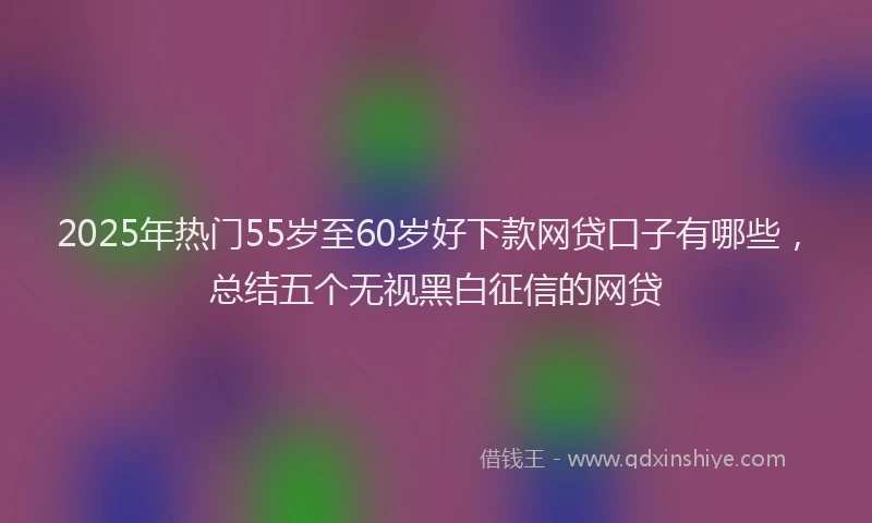 2025年热门55岁至60岁好下款网贷口子有哪些，总结五个无视黑白征信的网贷