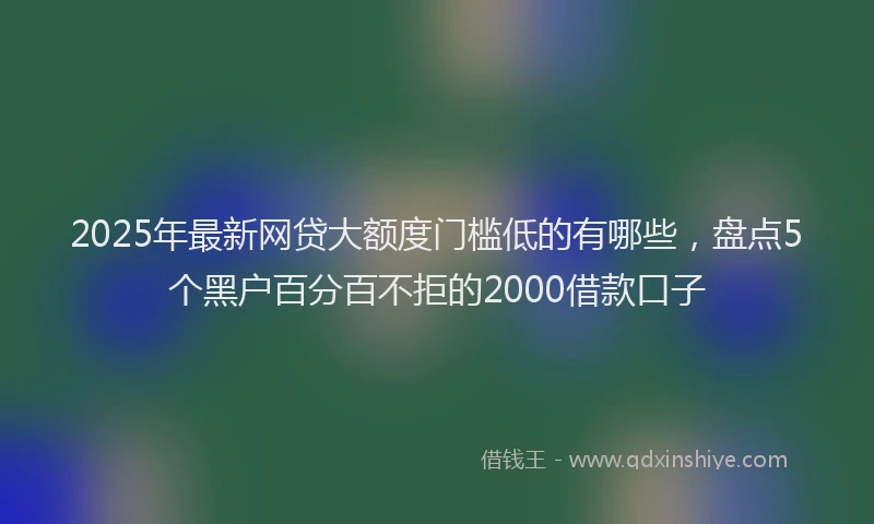 2025年最新网贷大额度门槛低的有哪些，盘点5个黑户百分百不拒的2000借款口子