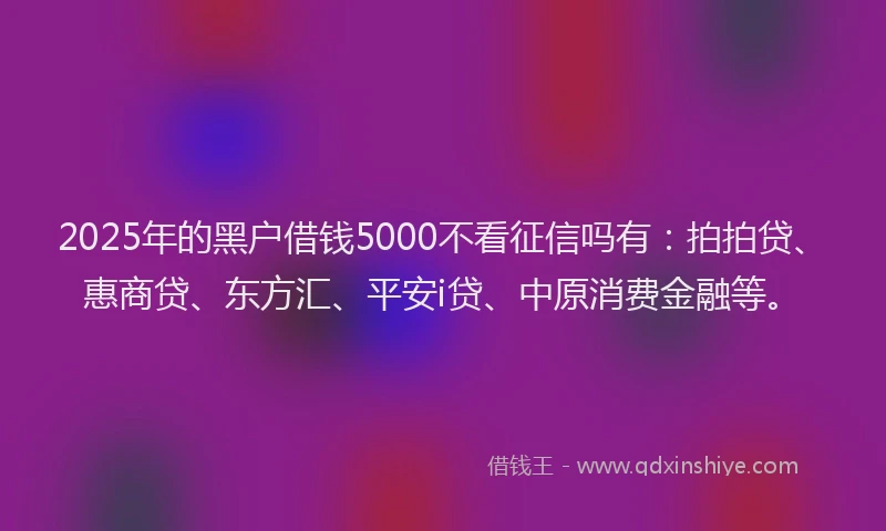 2025年的黑户借钱5000不看征信吗有：拍拍贷、惠商贷、东方汇、平安i贷、中原消费金融等。