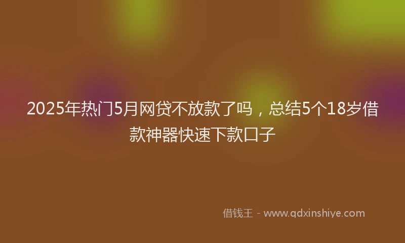 2025年热门5月网贷不放款了吗，总结5个18岁借款神器快速下款口子