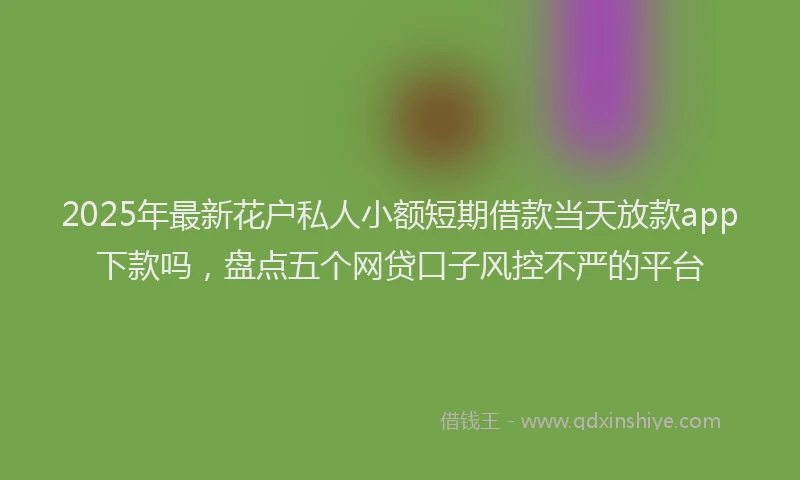 2025年最新花户私人小额短期借款当天放款app下款吗，盘点五个网贷口子风控不严的平台