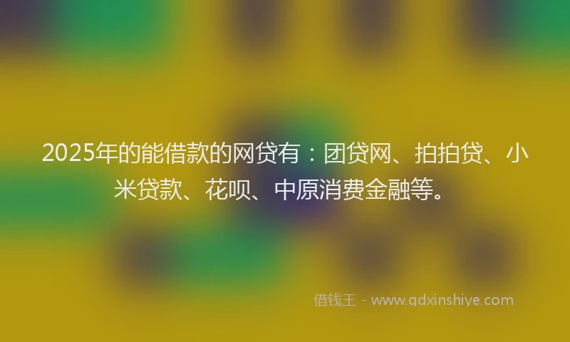 2025年的能借款的网贷有：团贷网、拍拍贷、小米贷款、花呗、中原消费金融等。
