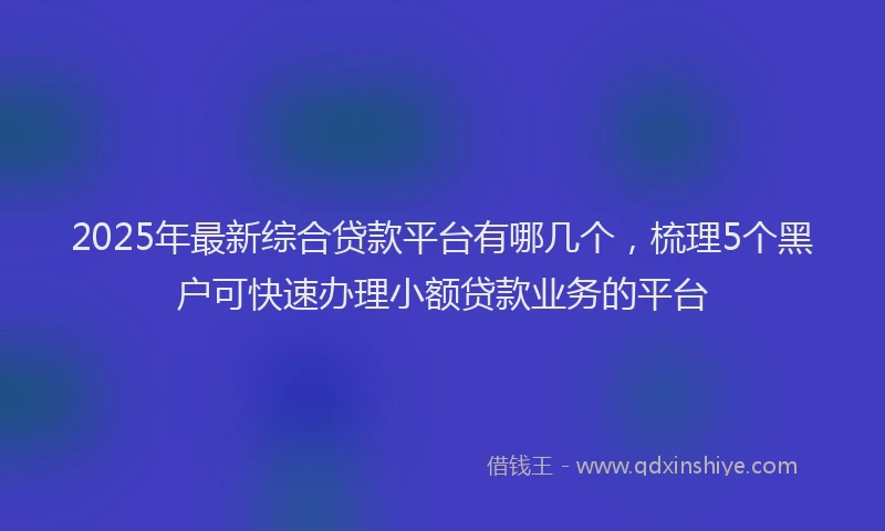 2025年最新综合贷款平台有哪几个，梳理5个黑户可快速办理小额贷款业务的平台